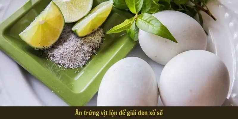 an trung vit lon de giai den xo so Ăn trứng vịt lộn để giải đen xổ số