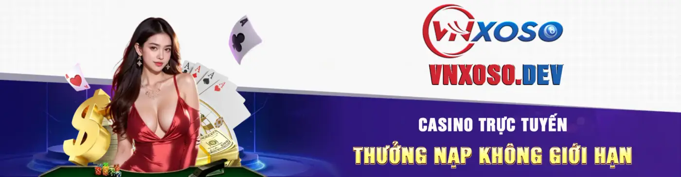 banner banner-vnsoxo