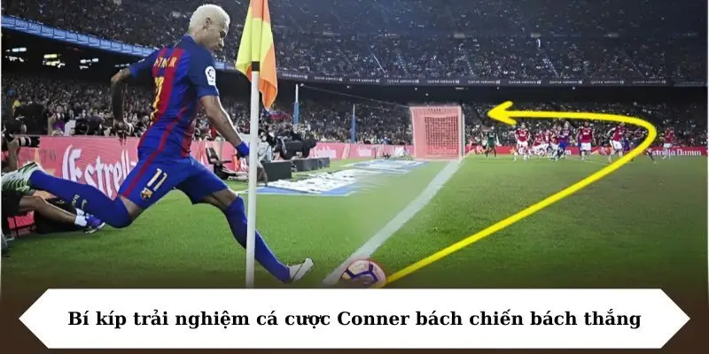 bi kip trai nghiem ca cuoc conner bach chien bach thang Bí kíp trải nghiệm cá cược Conner bách chiến bách thắng