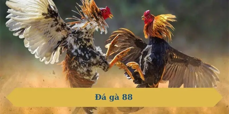 Đá Gà 88