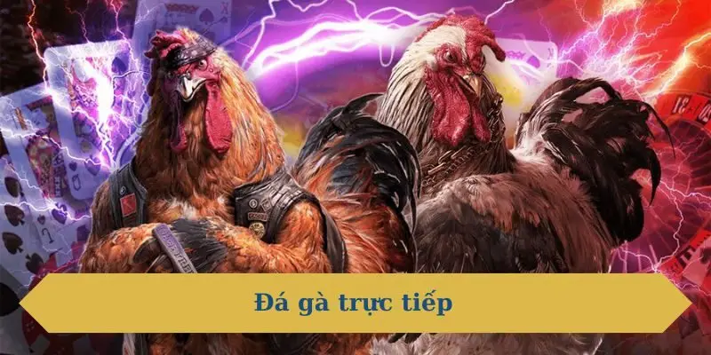 đá gà trực tiếp