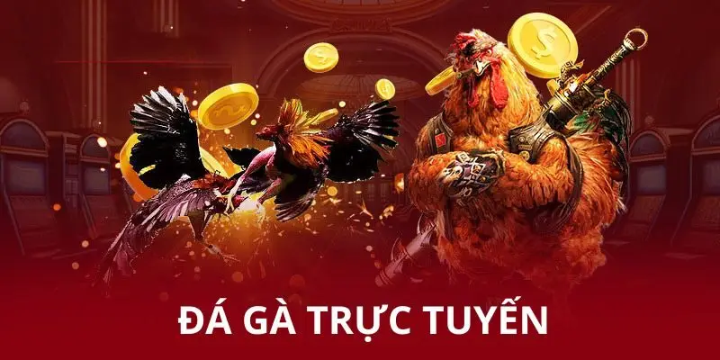 Đá gà trực tuyến