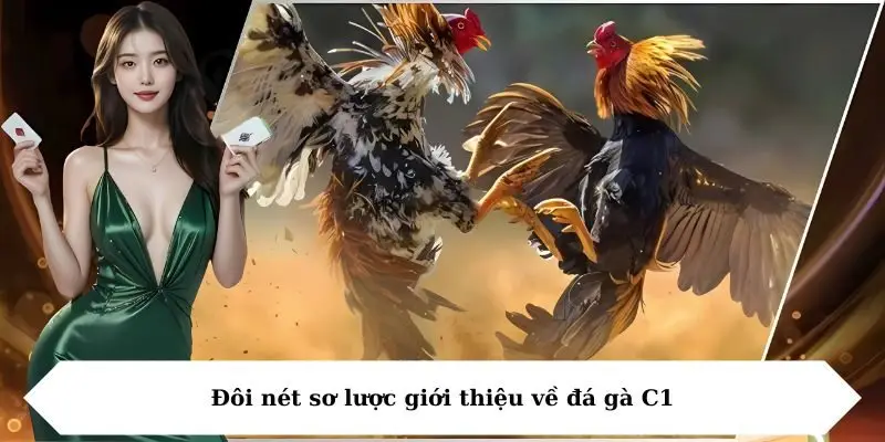 doi net so luoc gioi thieu ve da ga c1 Đôi nét sơ lược giới thiệu về đá gà C1