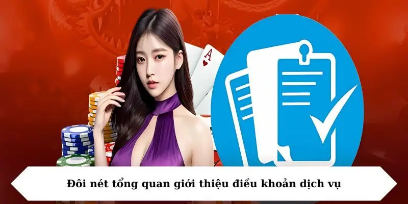 doi net tong quan gioi thieu dieu khoan dich vu Đôi nét tổng quan giới thiệu điều khoản dịch vụ