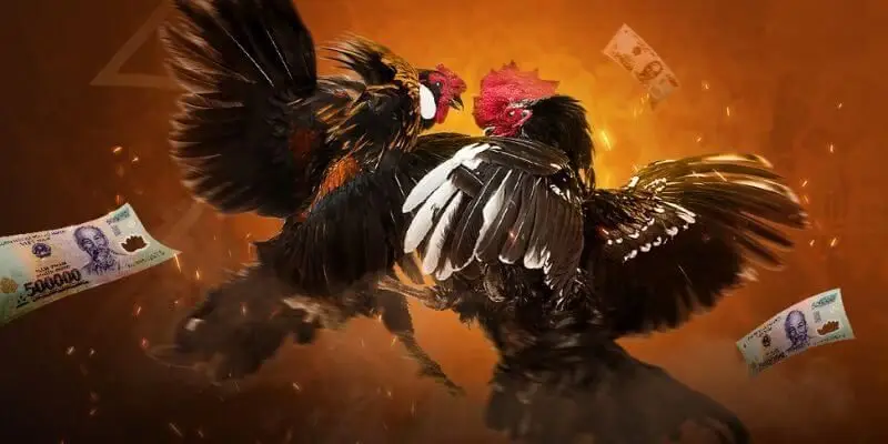 Quy định được áp dụng hầu hết trong các trận đấu hiện nay