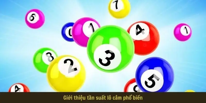gioi thieu tan suat lo cam pho bien Giới thiệu tần suất lô câm phổ biến