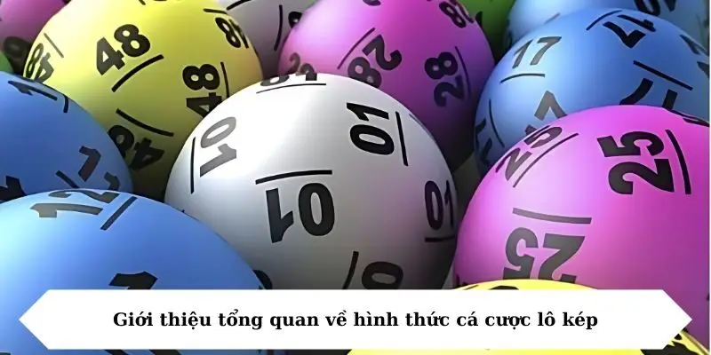 gioi thieu tong quan ve hinh thuc ca cuoc lo kep Giới thiệu tổng quan về hình thức cá cược lô kép