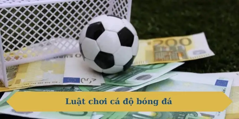 luật chơi cá độ bóng đá