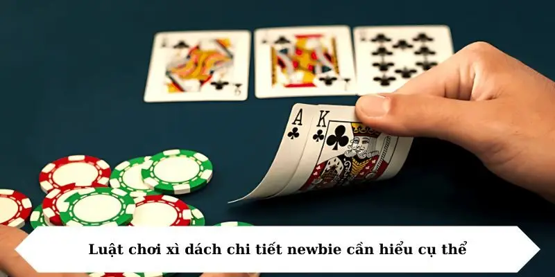 Luật chơi xì dách chi tiết newbie cần hiểu cụ thể