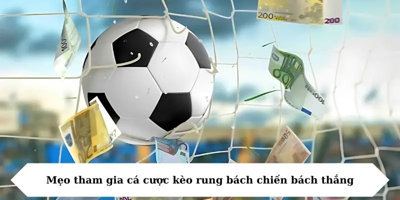 Mẹo tham gia cá cược kèo rung bách chiến bách thắng