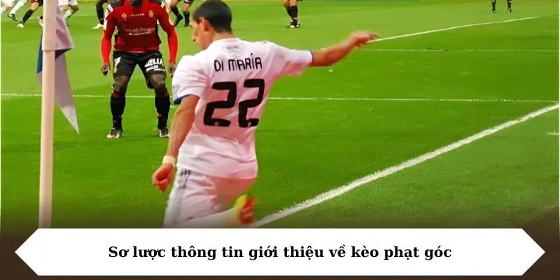 so luoc thong tin gioi thieu ve keo phat goc Sơ lược thông tin giới thiệu về kèo phạt góc