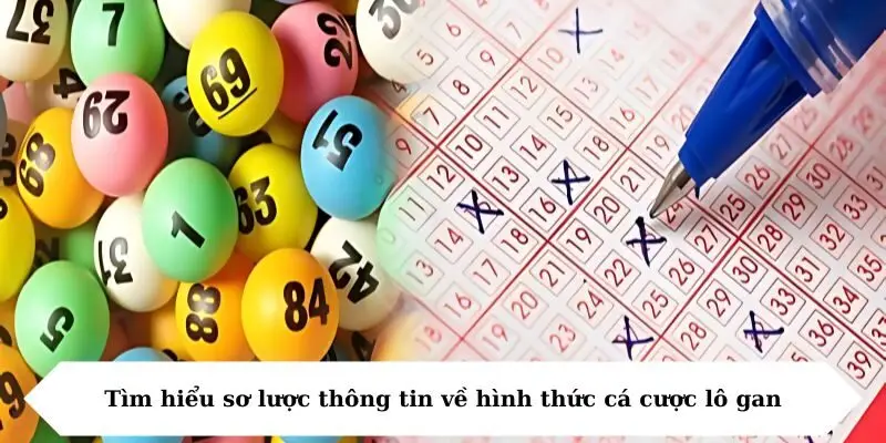 tim hieu so luoc thong tin ve hinh thuc ca cuoc lo gan Tìm hiểu sơ lược thông tin về hình thức cá cược lô gan