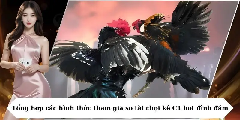 tong hop cac hinh thuc tham gia so tai choi ke c1 hot dinh dam Tổng hợp các hình thức tham gia so tài chọi kê C1 hot đình đám