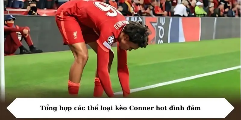 tong hop cac the loai keo conner hot dinh dam Tổng hợp các thể loại kèo Conner hot đình đám