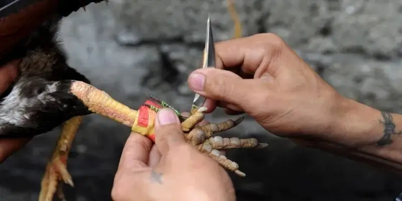 Đặc biệt tỷ lệ thưởng tại VNSOXO cao hơn so với thị trường