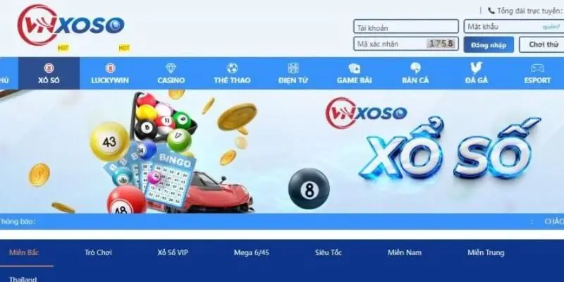 yeu to tao nen vi the vung chac cua vnsoxo tren thi truong Yếu tố tạo nên vị thế vững chắc của VNSOXO trên thị trường